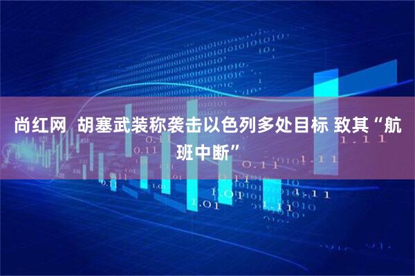 尚红网  胡塞武装称袭击以色列多处目标 致其“航班中断”