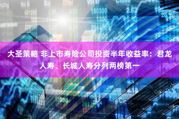 大圣策略 非上市寿险公司投资半年收益率：君龙人寿、长城人寿分列两榜第一